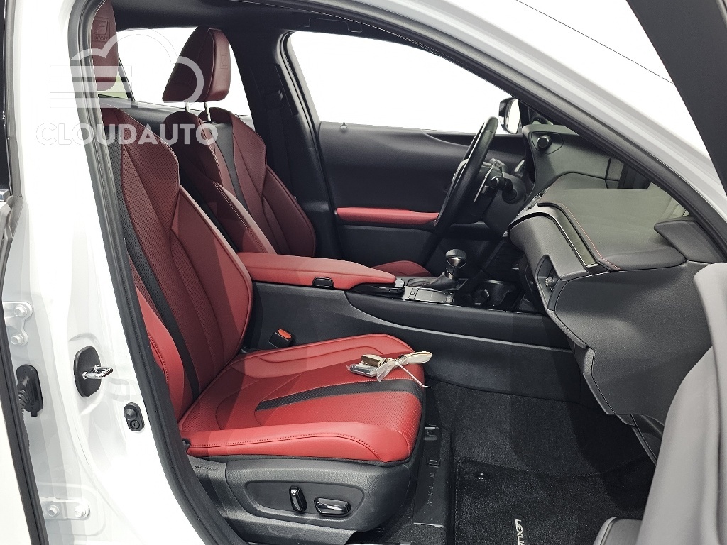2022 Lexus UX250h 2.0 F-Sport 2WD - Image 12
