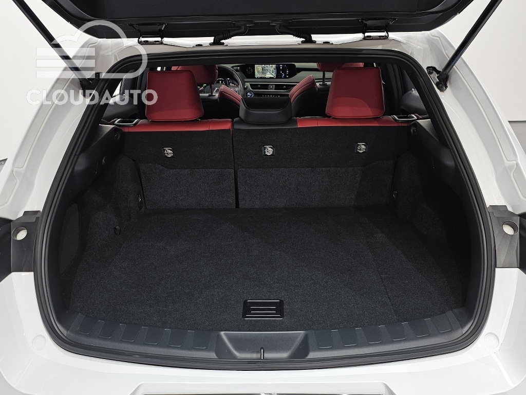 2022 Lexus UX250h 2.0 F-Sport 2WD - Image 20
