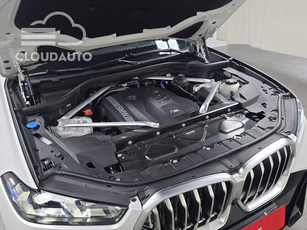 2025 BMW X6 xDrive40i M Sports - Image 6