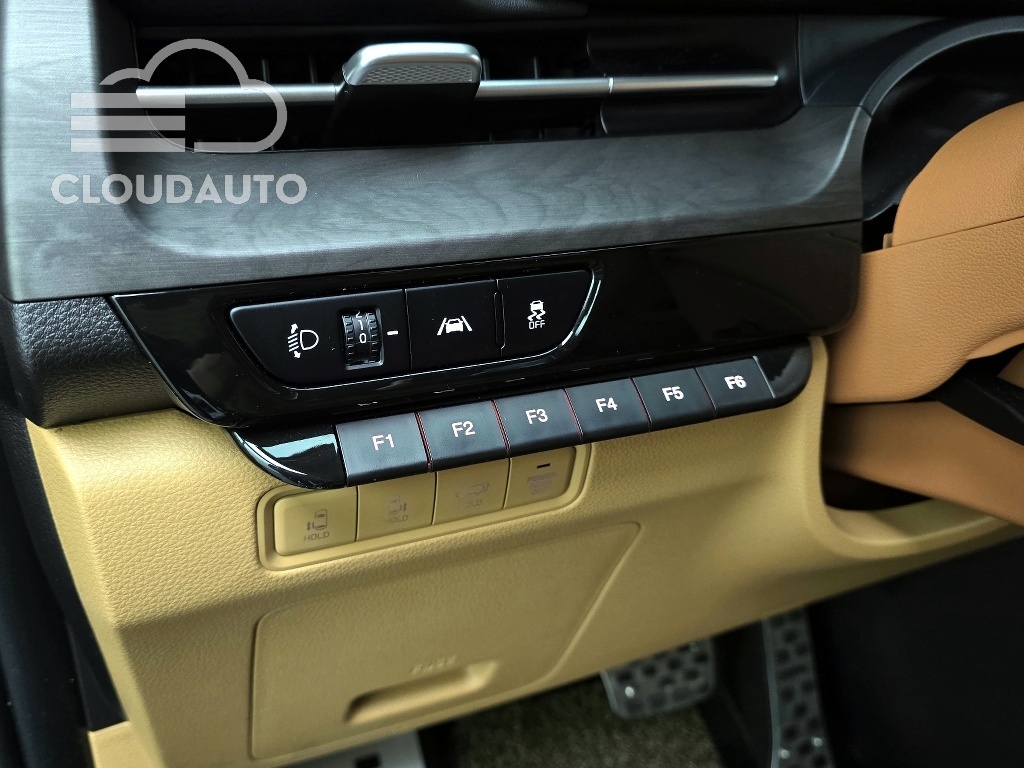 2021 Kia Carnival Gasoline 9 - Image 13