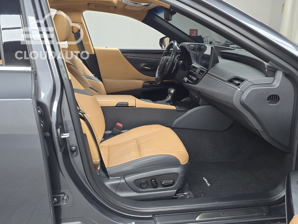 2022 Lexus ES300h Luxury Plus - Image 11