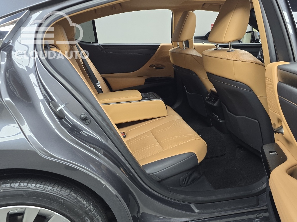 2022 Lexus ES300h Luxury Plus - Image 12