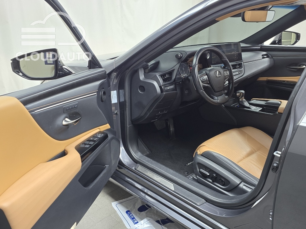 2022 Lexus ES300h Luxury Plus - Image 10