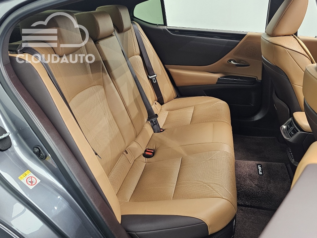 2019 Lexus ES300h Luxury Plus - Image 9