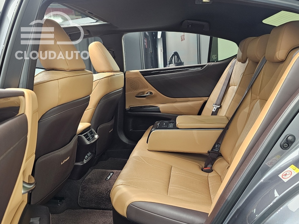2019 Lexus ES300h Luxury Plus - Image 10