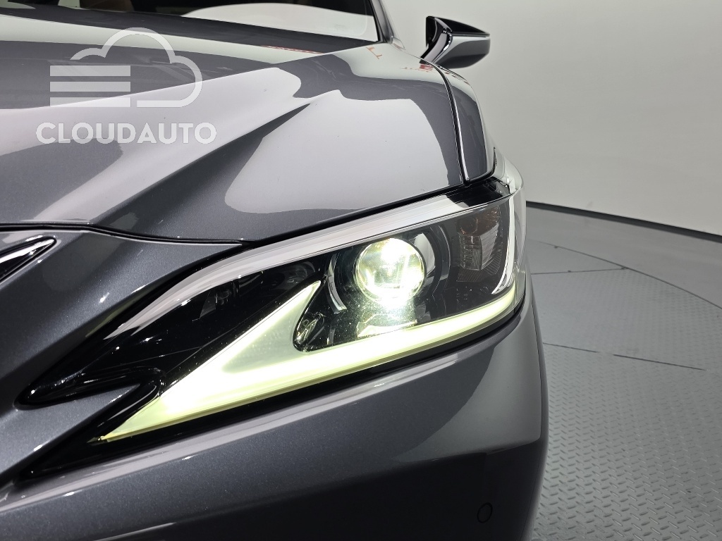 2019 Lexus ES300h Luxury Plus - Image 20
