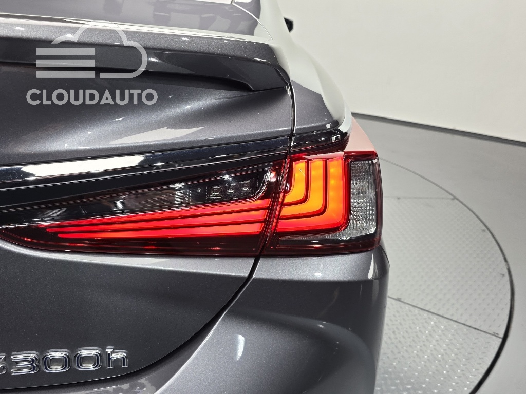 2019 Lexus ES300h Luxury Plus - Image 21