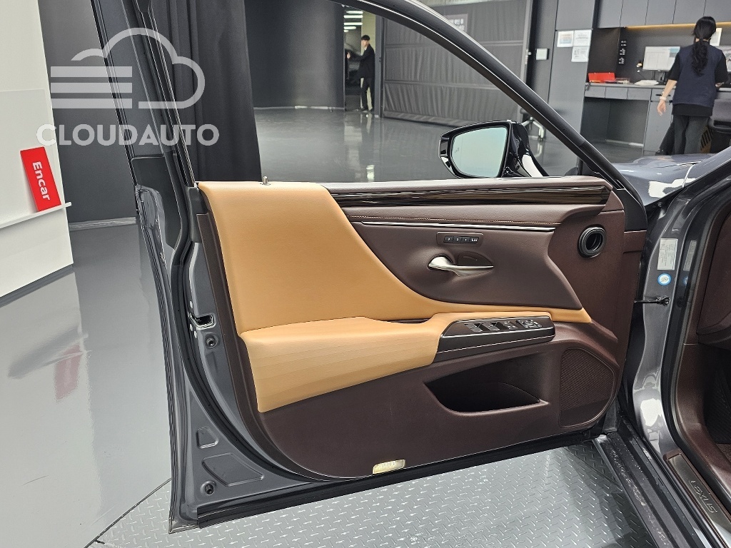 2019 Lexus ES300h Luxury Plus - Image 22