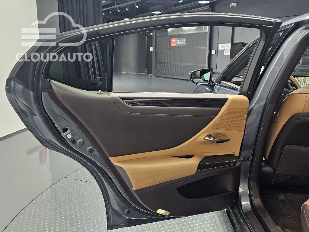2019 Lexus ES300h Luxury Plus - Image 23