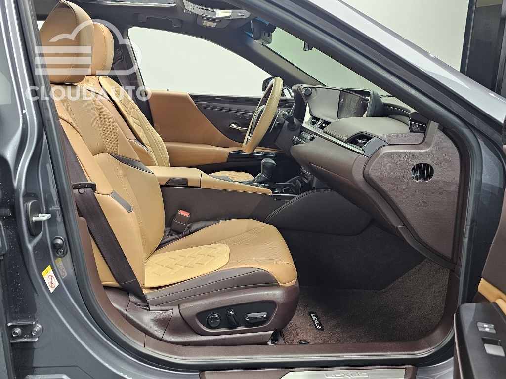 2019 Lexus ES300h Luxury Plus - Image 24