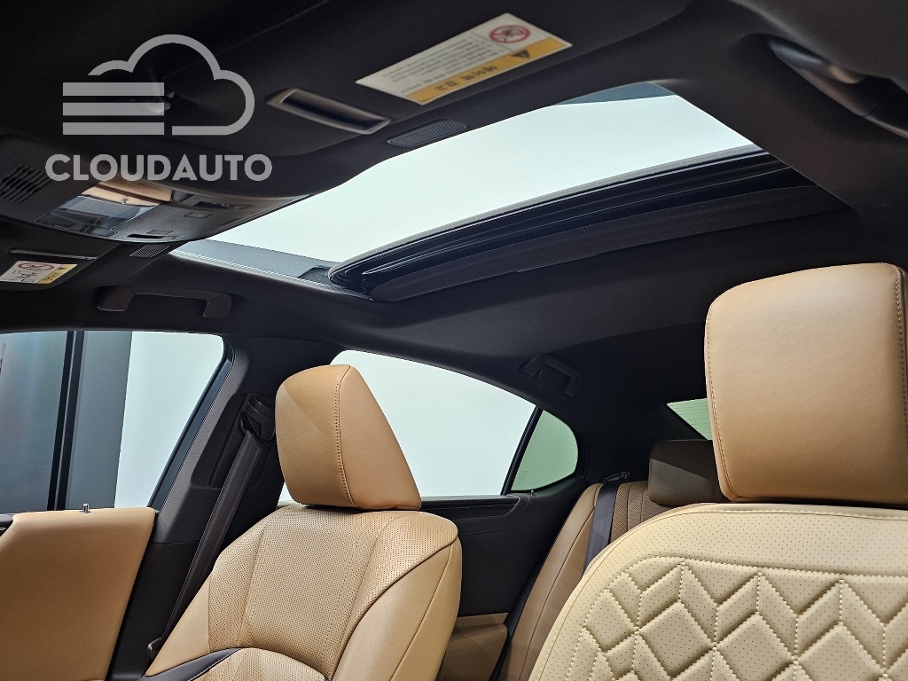 2019 Lexus ES300h Luxury Plus - Image 29