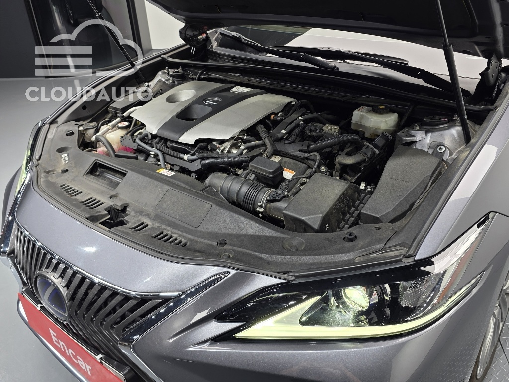 2019 Lexus ES300h Luxury Plus - Image 6