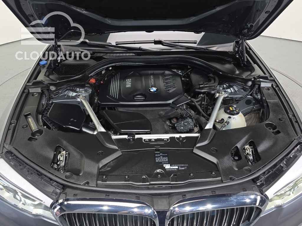 2018 BMW 5 Series 520d Luxury Edition - Image 6