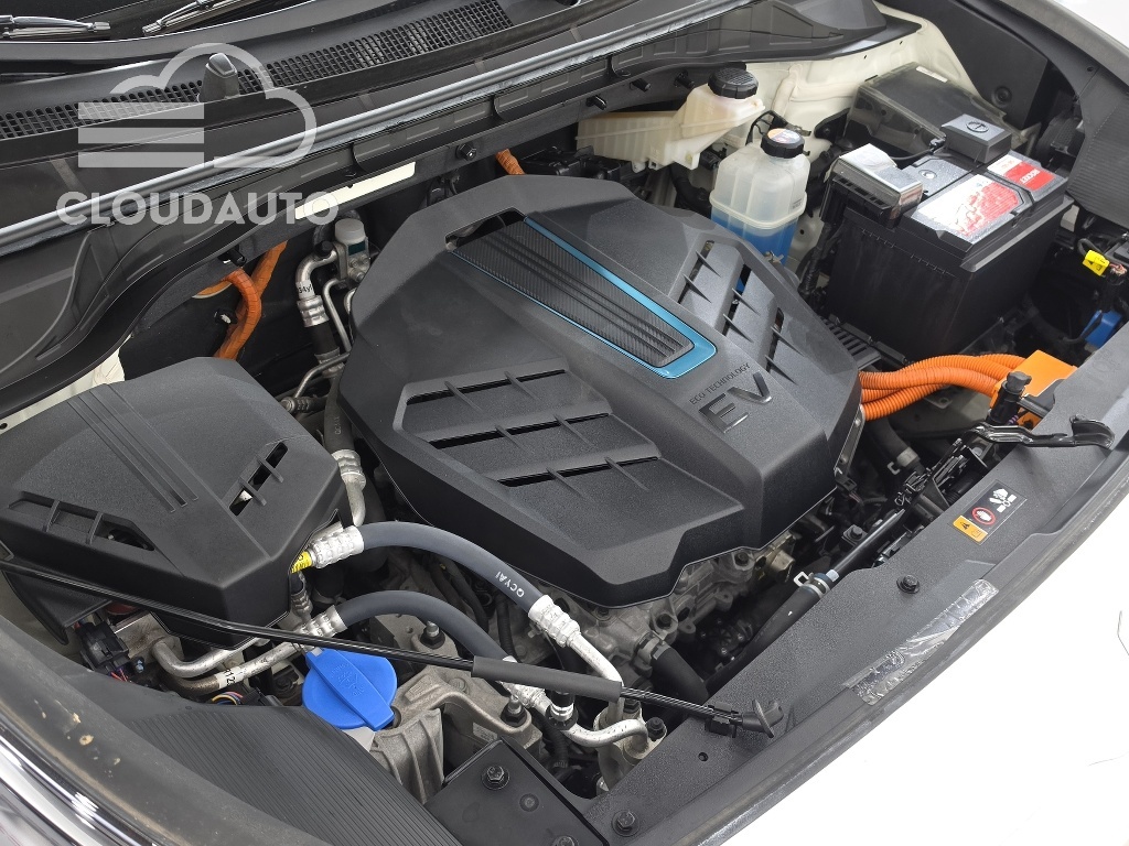 2022 Kia Niro EV Noblesse - Image 6