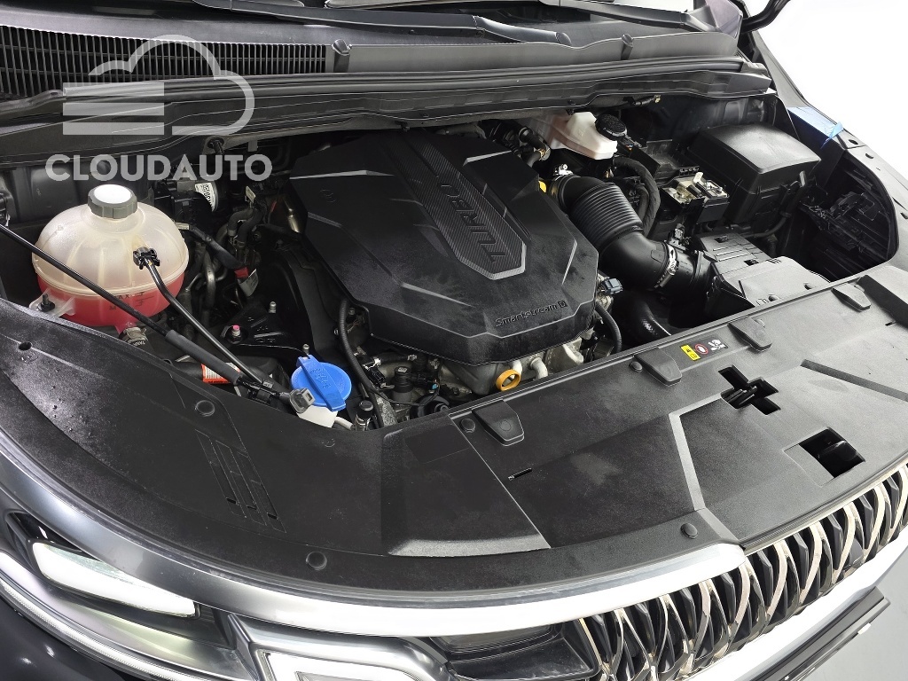 2021 Kia Carnival 9 Noblesse - Image 6