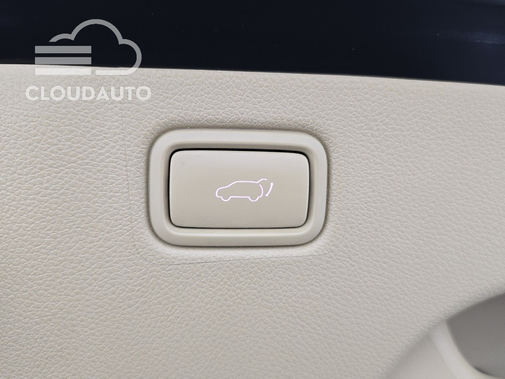 2019 Kia Carnival Gasoline 4 - Image 20
