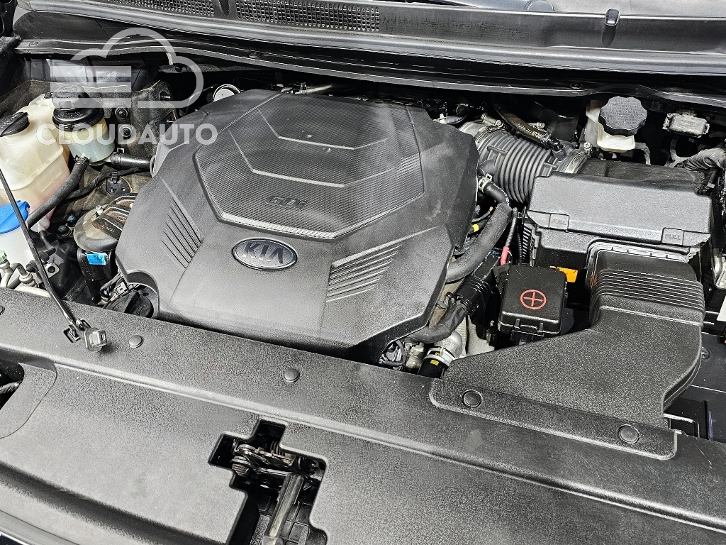 2019 Kia Carnival Gasoline 4 - Image 6