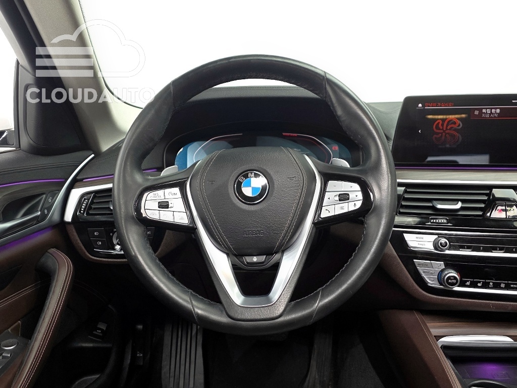 2020 BMW 5 Series 530i xDrive Luxury Plus - Image 12
