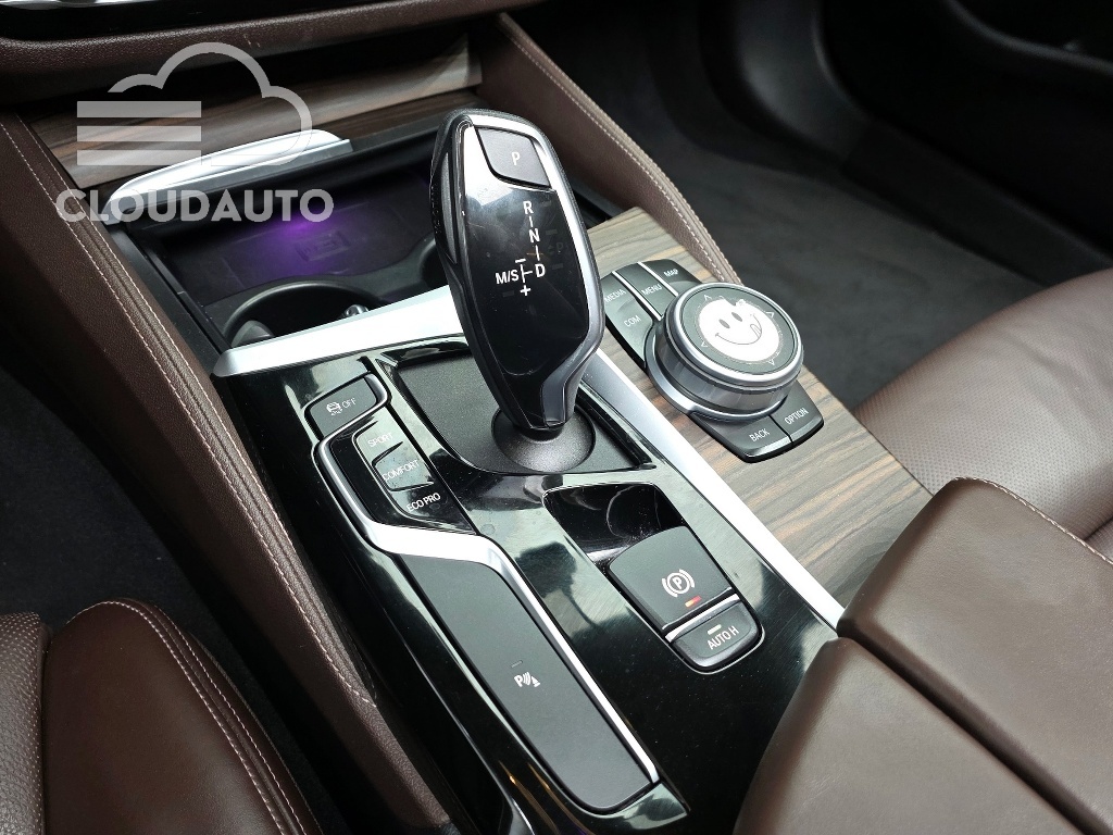 2020 BMW 5 Series 530i xDrive Luxury Plus - Image 9