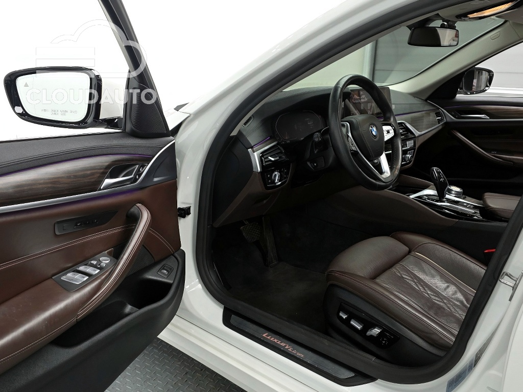 2020 BMW 5 Series 530i xDrive Luxury Plus - Image 10