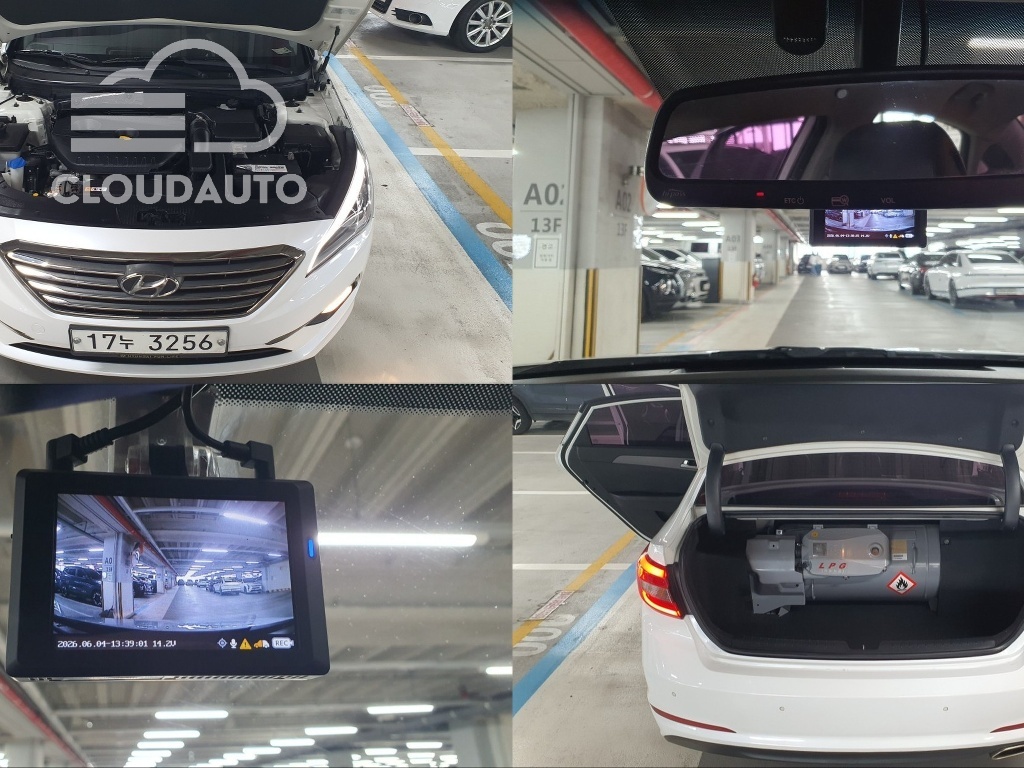 2015 Hyundai Sonata LPI Premium Special - Image 9