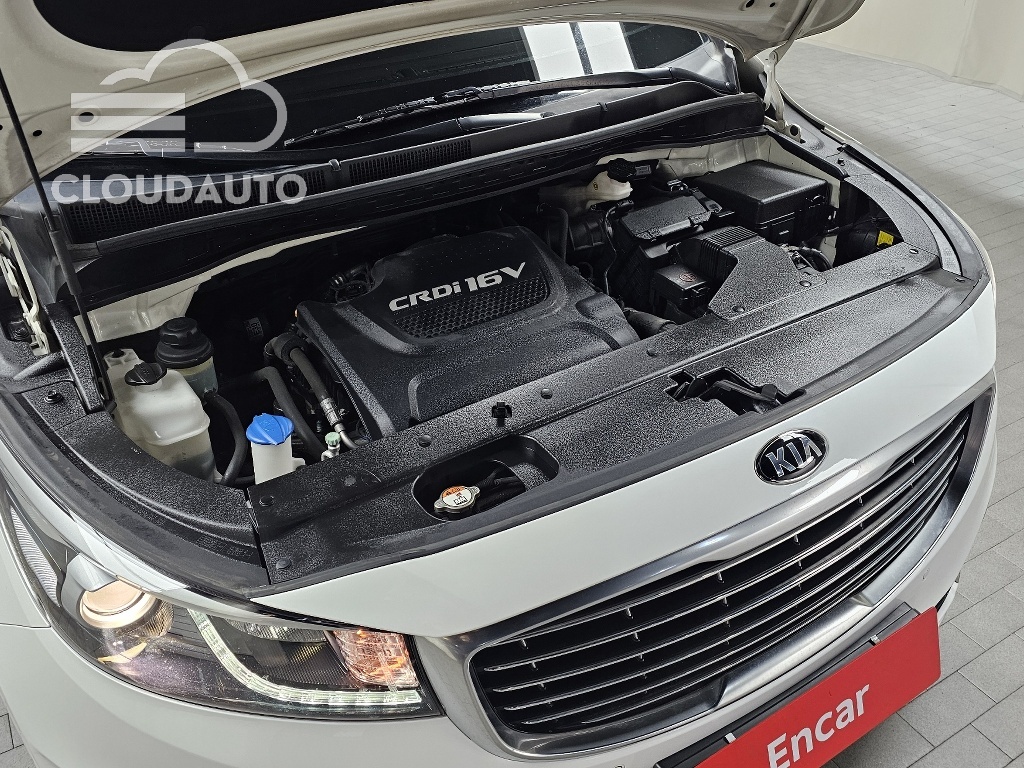 2017 Kia Carnival 9 Noblesse - Image 6