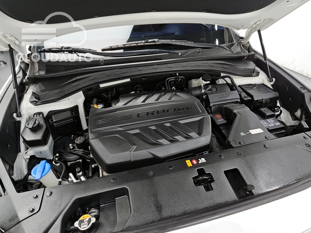 2019 Hyundai Santa Fe Diesel 2.0 2WD - Image 6