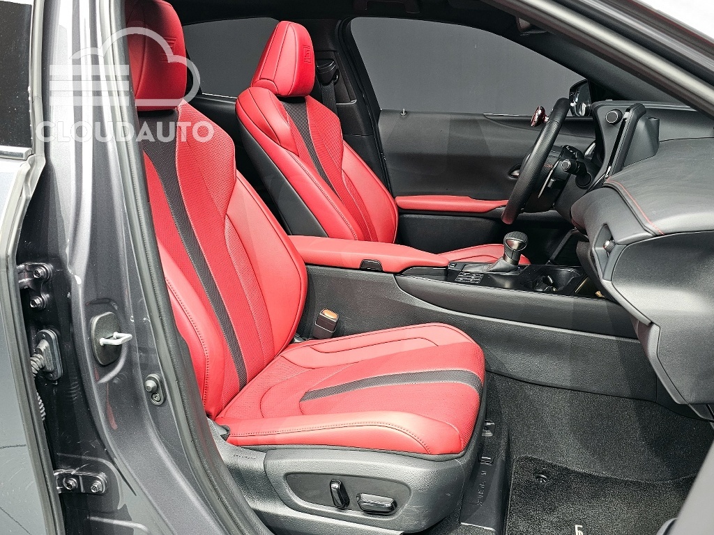 2024 Lexus UX250h 2.0 F-Sport 2WD - Image 11