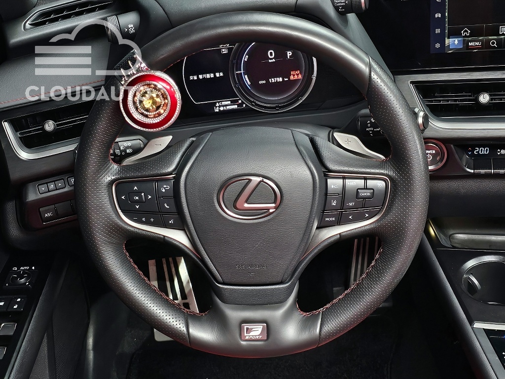 2024 Lexus UX250h 2.0 F-Sport 2WD - Image 15
