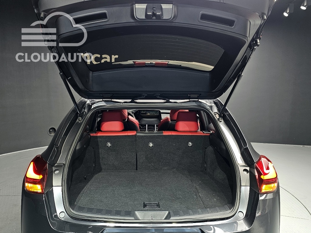 2024 Lexus UX250h 2.0 F-Sport 2WD - Image 20