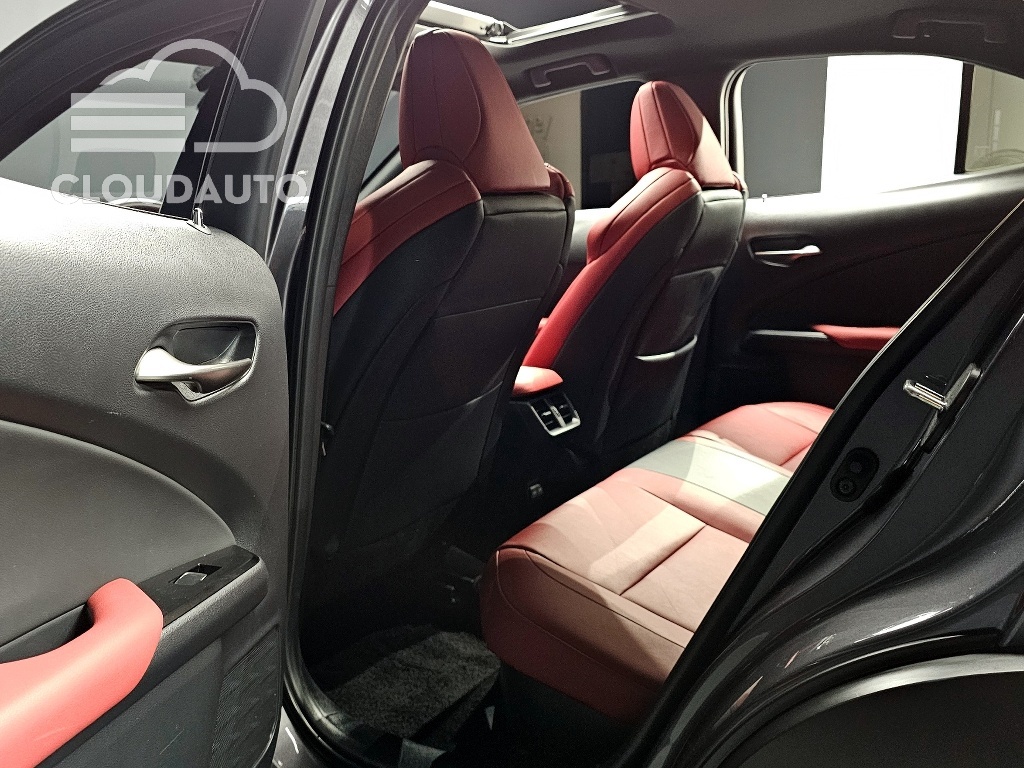 2024 Lexus UX250h 2.0 F-Sport 2WD - Image 26
