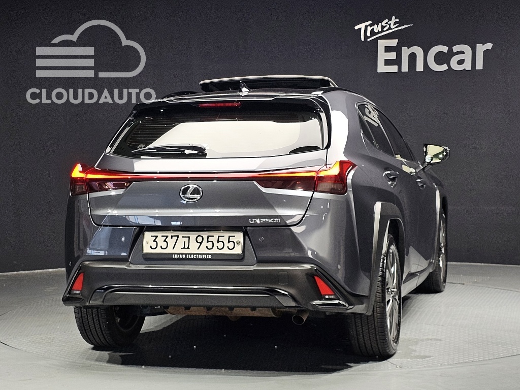 2024 Lexus UX250h 2.0 F-Sport 2WD - Image 4