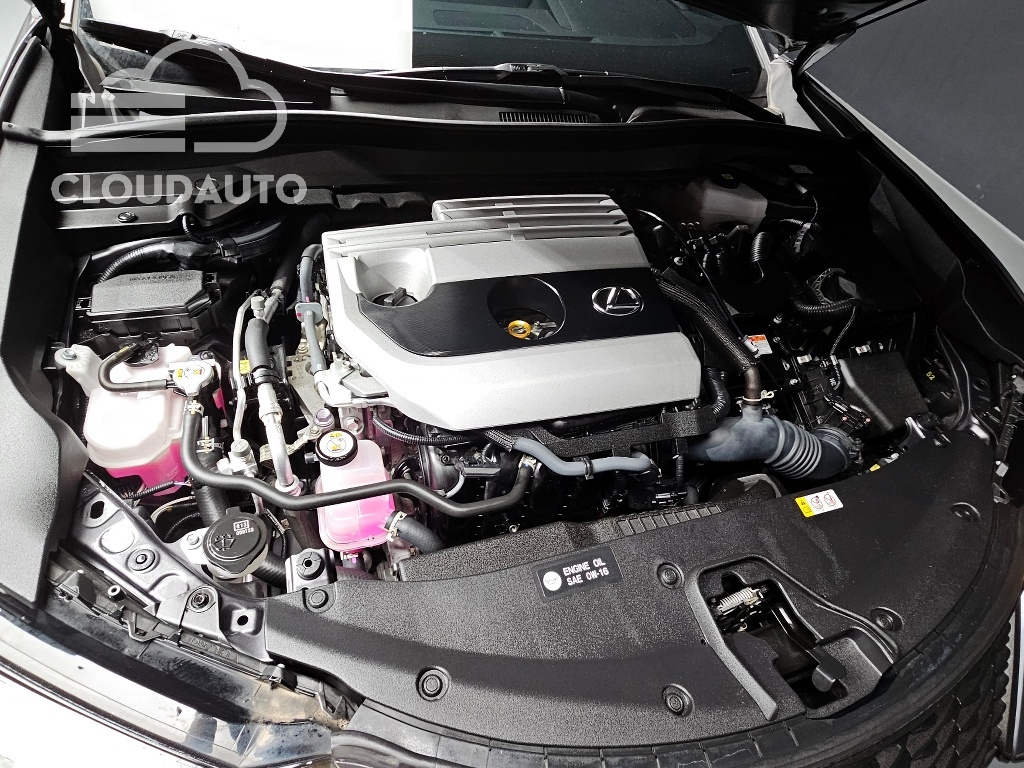 2024 Lexus UX250h 2.0 F-Sport 2WD - Image 6