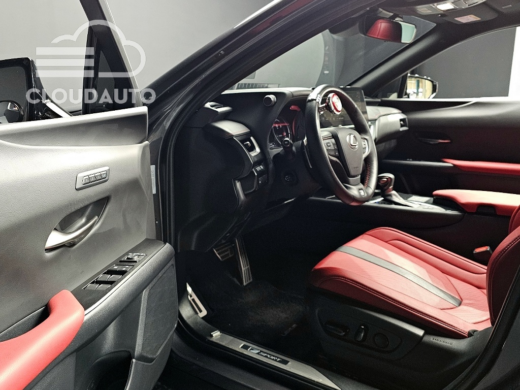 2024 Lexus UX250h 2.0 F-Sport 2WD - Image 10