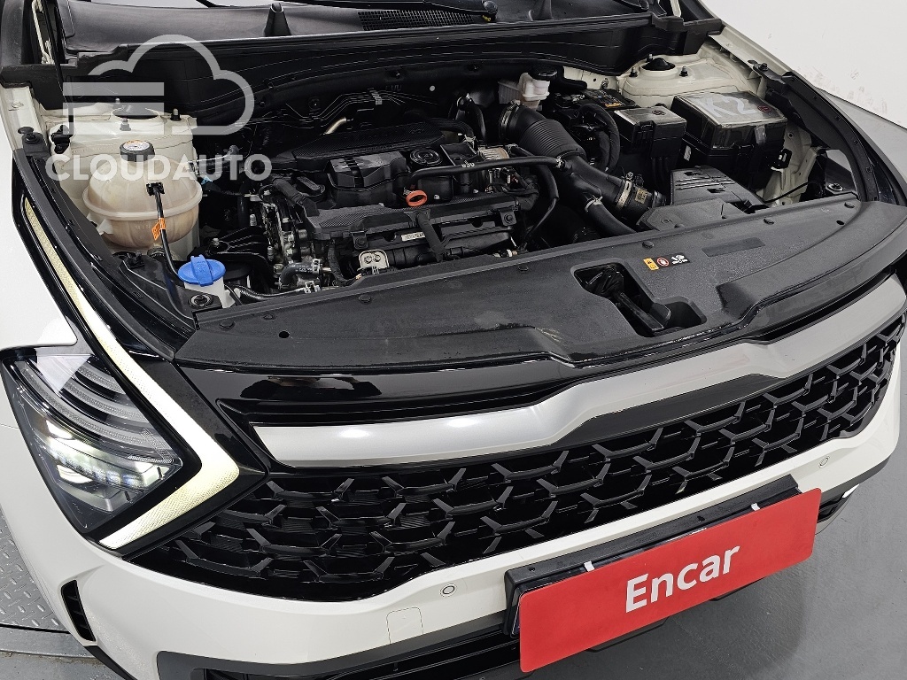 2022 Kia Sportage Gasoline 1.6 Turbo 2WD - Image 6